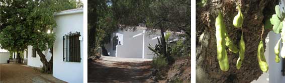 Los Dos Algarrobos