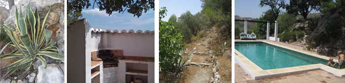 Los Dos Algarrobos