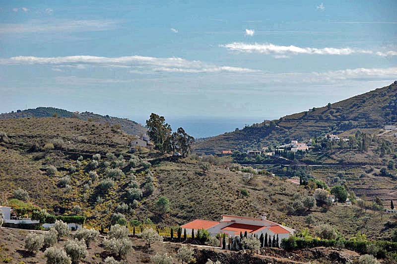 Los Dos Algarrobos - Surroundings