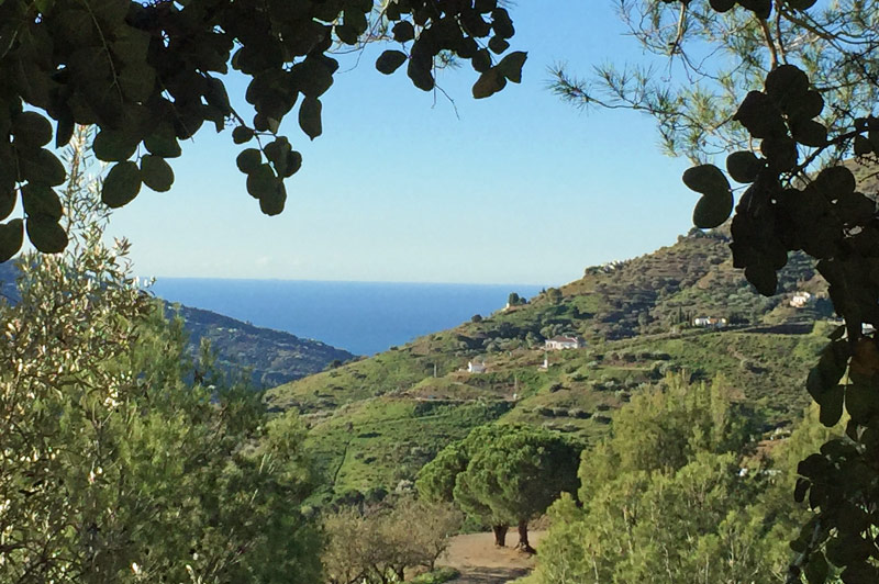 Los Dos Algarrobos - View